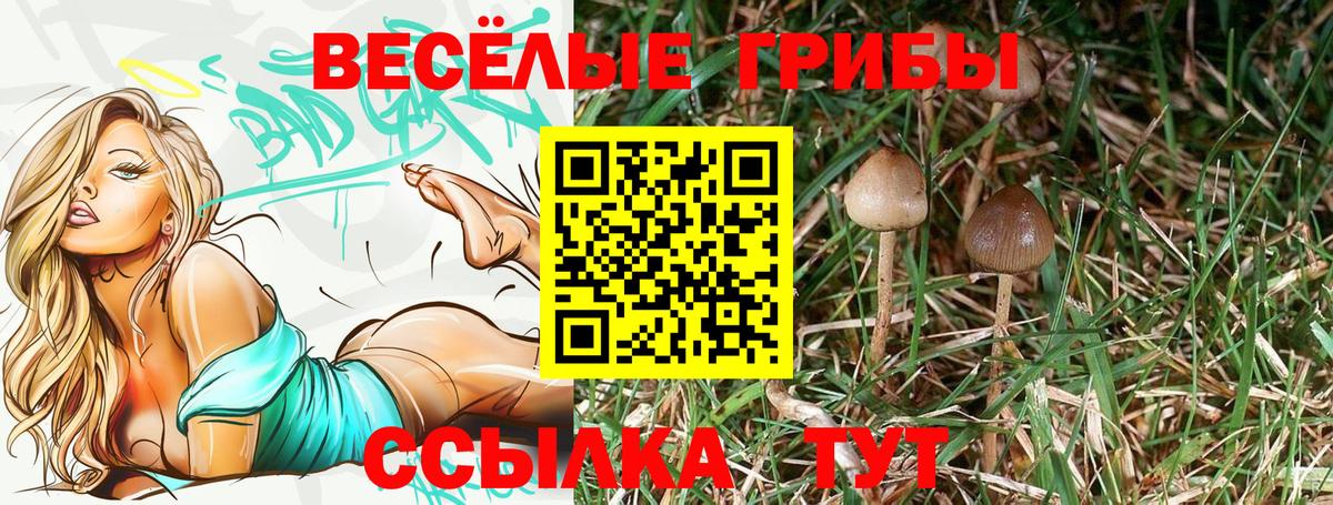 Галлюциногенные грибы MAGIC MUSHROOMS  наркота  Магнитогорск  Вход с VPN 